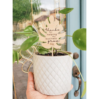 Spring Client Appreciation Plant Pick