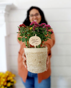 Fall Pop By Gift