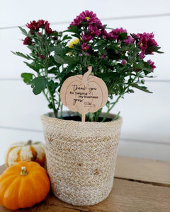 Fall Pop By Gift